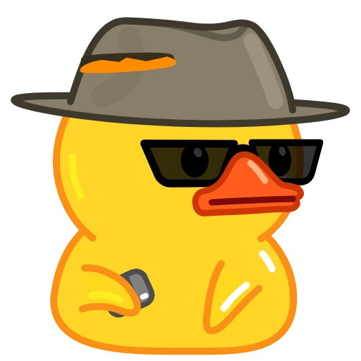 Duck wearing a wide-brimmed hat and sunglasses